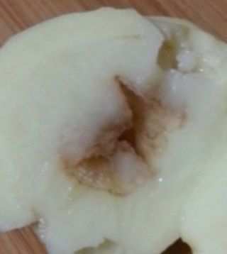 써니님.님의 감자 · 자유게시판 작성글 사진