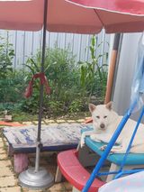 팜모닝 자유주제·자유게시판 게시글 이미지