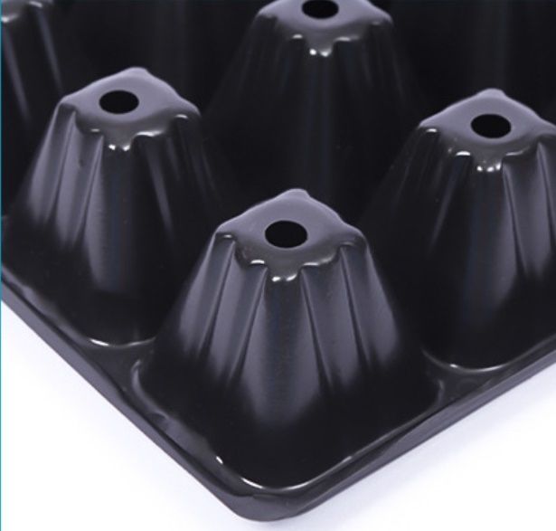 정대성님의 장터 판매 상품 [모종판 육묘판 32 50 72 105 128구] 첨부 사진