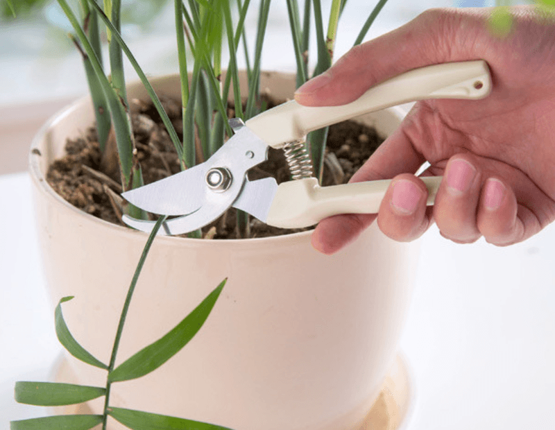 장터 상품 [원예용 전지가위] 썸네일