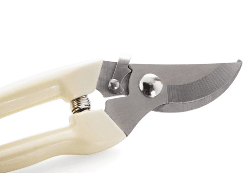 정대성님의 장터 판매 상품 [원예용 전지가위] 첨부 사진