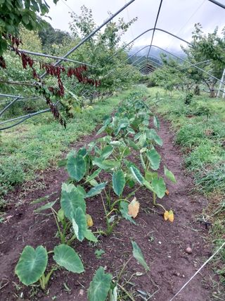 장준호님의 자유주제 · 사진전 작성글 사진