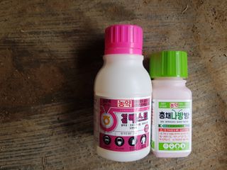 신동수님의 고추 · 영농일지 작성글 사진