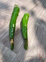 팜모닝 고추·병해충상담 게시글 이미지