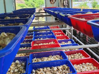 나영호님의 마늘 · 일상 작성글 사진