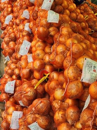 나영호님의 마늘 · 일상 작성글 사진