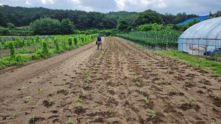 조병대님의 기타작물 · 자유게시판 작성글 사진