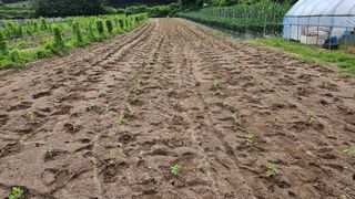 조병대님의 기타작물 · 자유게시판 작성글 사진