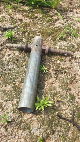 박상권님의 참깨 · 자유게시판 작성글 사진