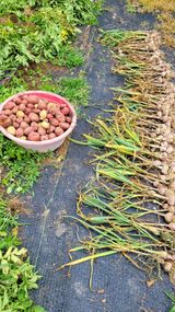 팜모닝 우리동네·동네수다 게시글 이미지