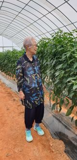 팜모닝 고추·일상 게시글 이미지