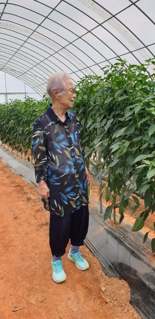 에덴농원나장미입니다님의 고추 · 일상 작성글 사진