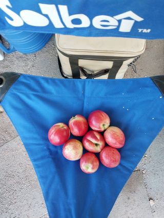 올리브 농장님의 복숭아 · 자유게시판 작성글 사진