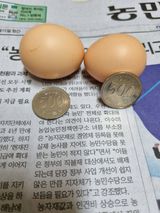 팜모닝 벼·영농일지 게시글 이미지