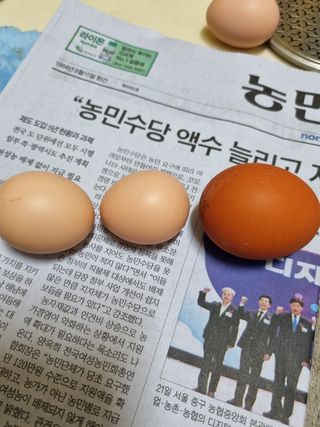 김 기 동님의 벼 · 영농일지 작성글 사진