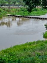 팜모닝 자유주제·자유게시판 게시글 이미지
