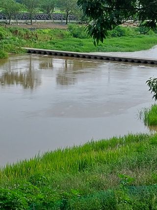 갑중봉황커피사과농장님의 자유주제 · 자유게시판 작성글 사진