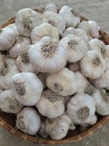 팜모닝 · 게시글 이미지