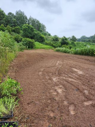 박미란님의 들깨 · 자유게시판 작성글 사진