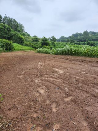 박미란님의 들깨 · 자유게시판 작성글 사진