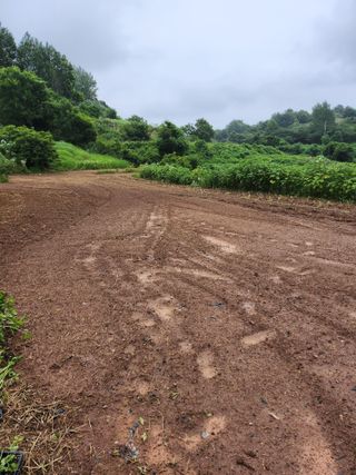 박미란님의 들깨 · 자유게시판 작성글 사진