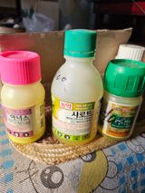 팜모닝 고추·영농일지 게시글 이미지