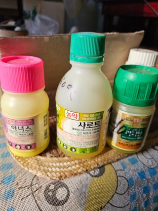 필사과농원님의 고추 · 영농일지 작성글 사진