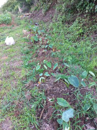 정은희 님의 기타작물 · 자유게시판 작성글 사진