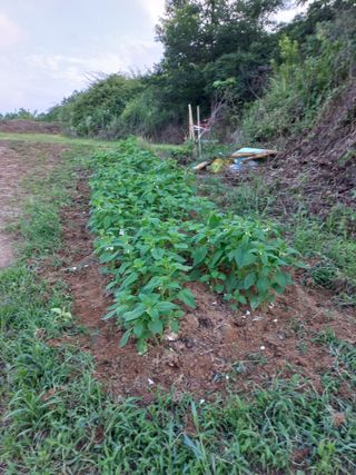 정은희 님의 기타작물 · 자유게시판 작성글 사진