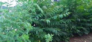 김해숙님의 자유주제 · 자유게시판 작성글 사진