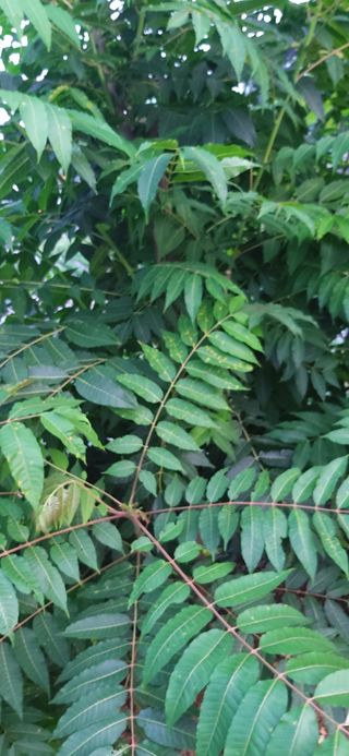 김해숙님의 자유주제 · 자유게시판 작성글 사진