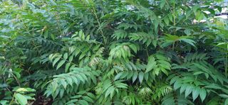 김해숙님의 자유주제 · 자유게시판 작성글 사진