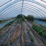 팜모닝 콩·영농일지 게시글 이미지