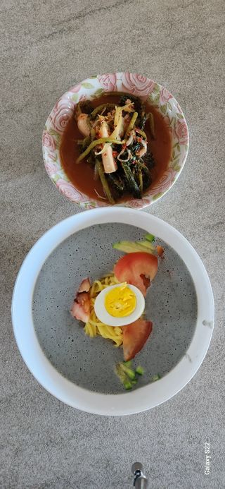 접시꽃님의 콩 · 자유게시판 작성글 사진