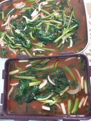 접시꽃님의 콩 · 자유게시판 작성글 사진