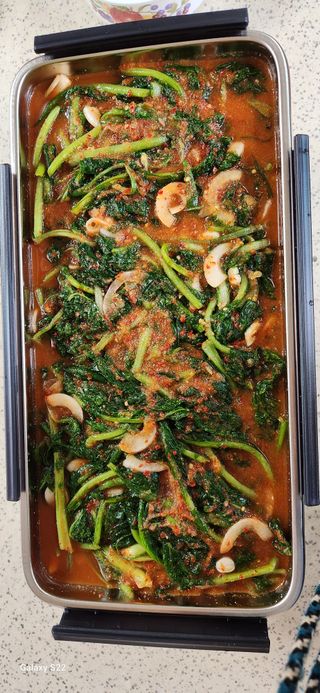 접시꽃님의 콩 · 자유게시판 작성글 사진