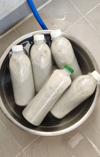 접시꽃님의 콩 · 자유게시판 작성글 사진