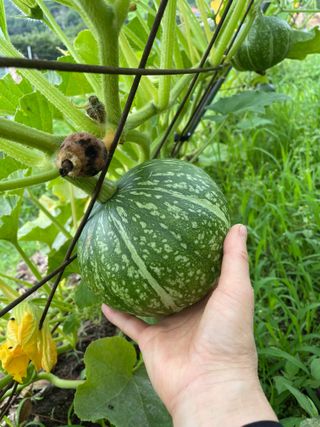 도곡님의 기타작물 · 자유게시판 작성글 사진