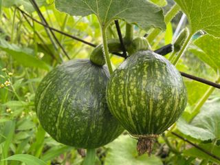 도곡님의 기타작물 · 자유게시판 작성글 사진