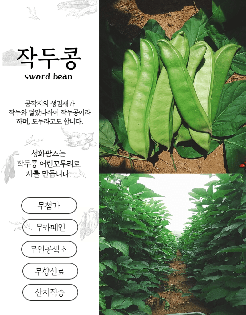 청화팜스님의 장터 판매 상품 [청화팜스 작두콩차티백 30개입x2] 첨부 사진