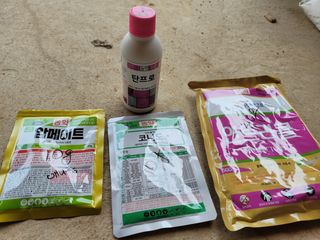 하는 일마다 대박!님의 옥수수 · 영농일지 작성글 사진