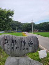 팜모닝 장마 대비 어떻게 하셨나요?·참여 게시글 이미지