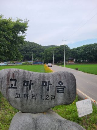 박준용님의 장마 대비 어떻게 하셨나요? · 참여 작성글 사진