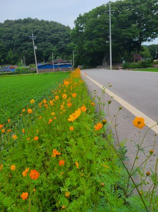 박준용님의 장마 대비 어떻게 하셨나요? · 참여 작성글 사진