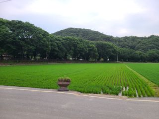 박준용님의 장마 대비 어떻게 하셨나요? · 참여 작성글 사진