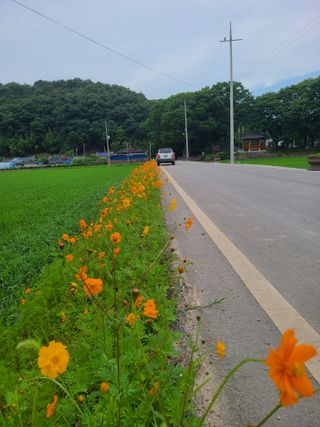 박준용님의 장마 대비 어떻게 하셨나요? · 참여 작성글 사진