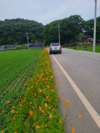 박준용님의 장마 대비 어떻게 하셨나요? · 참여 작성글 사진