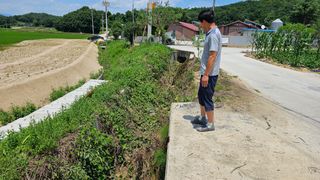 황영출님의 콩 · 영농일지 작성글 사진