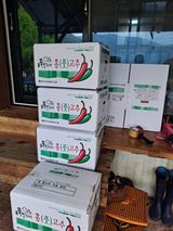 팜모닝 고추·수확 게시글 이미지