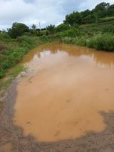 팜모닝 자유주제·자유게시판 게시글 이미지